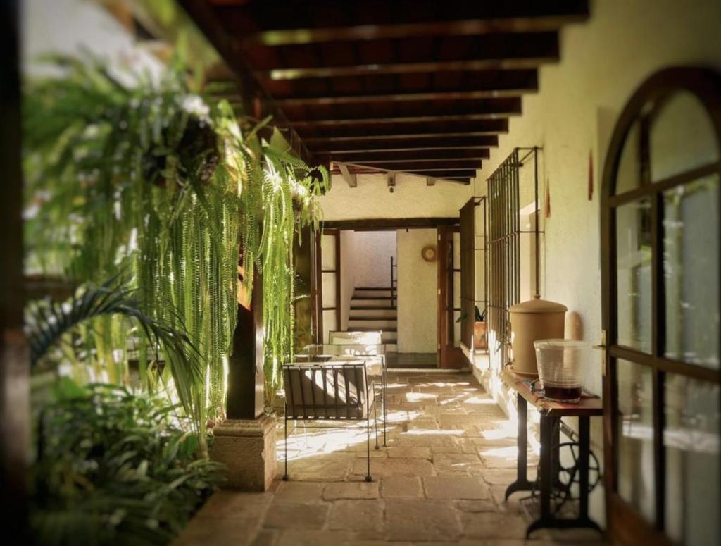 Cacao Boutique Hotel photo 3
