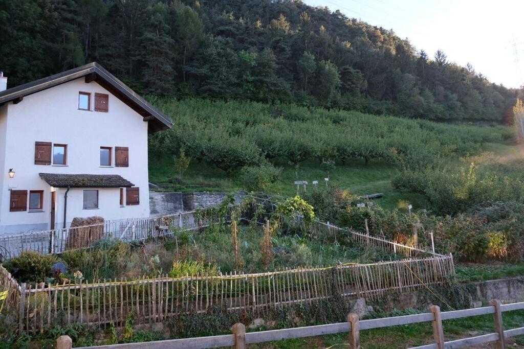 Maisonnette de campagne photo 1