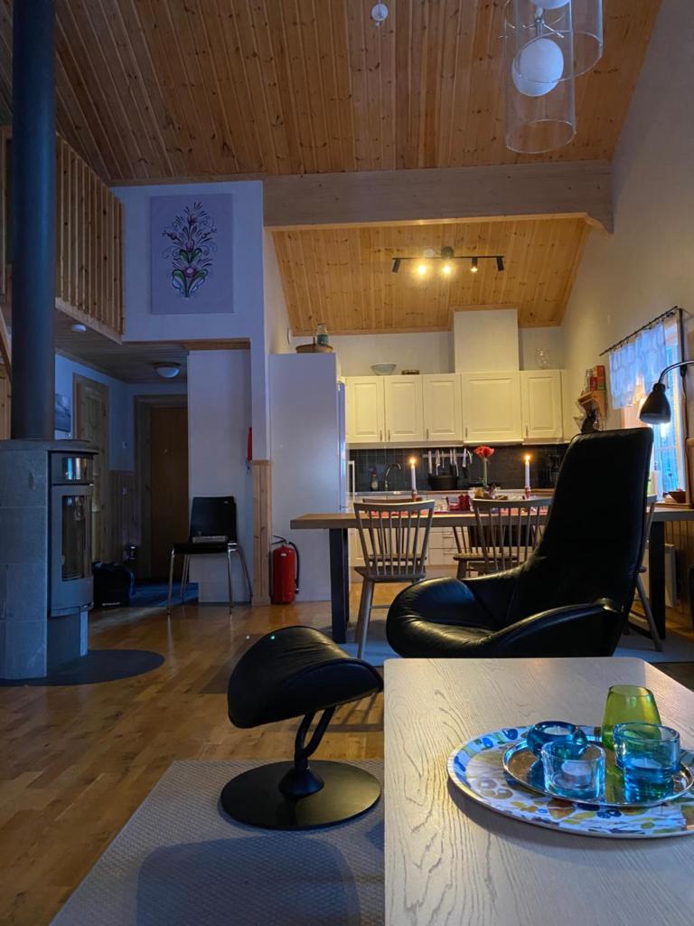 Fjällstuga i avskildhet photo 3