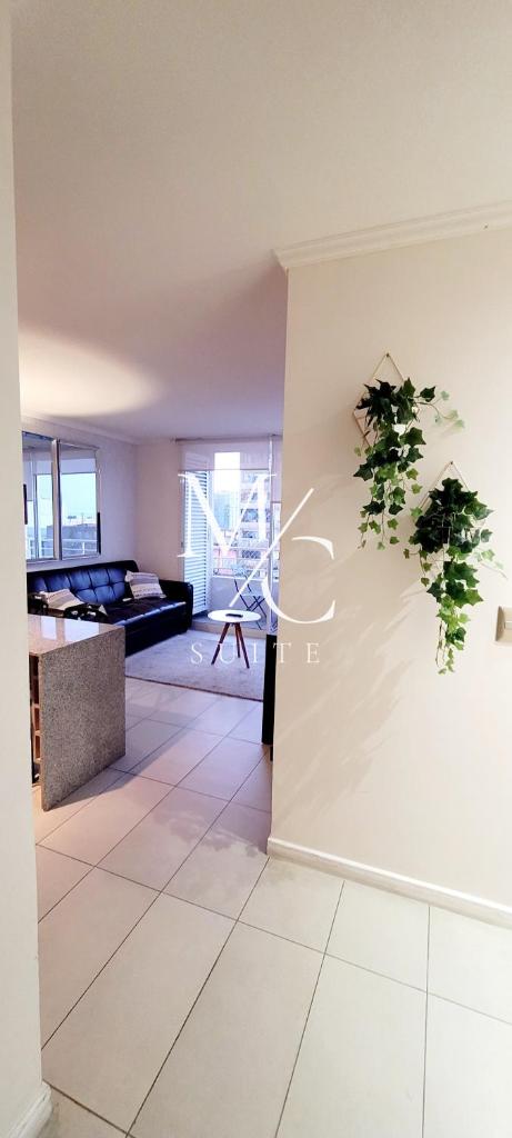 MC Suite - Centro photo 4