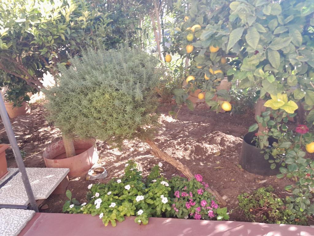 Casa vacanze Lumera photo 2
