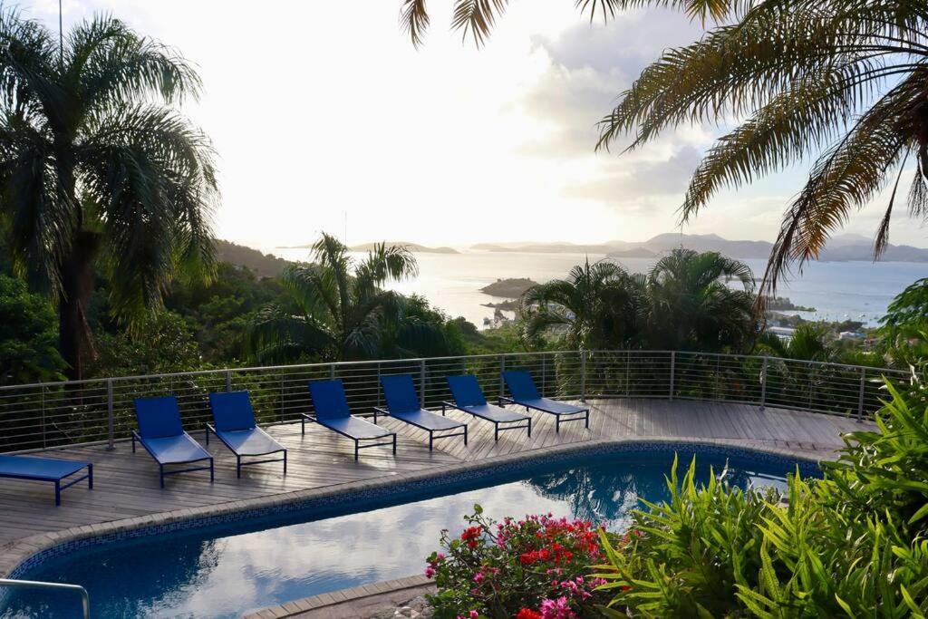Mandavilla - Inspired USVI
