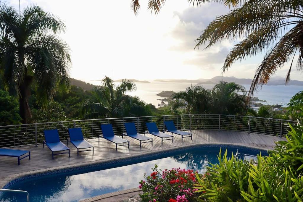 Mandavilla Rose - Inspired USVI