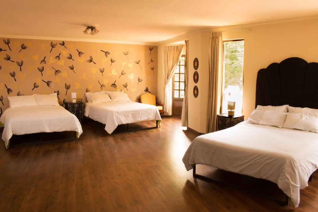 Golden House guesthouse photo 2