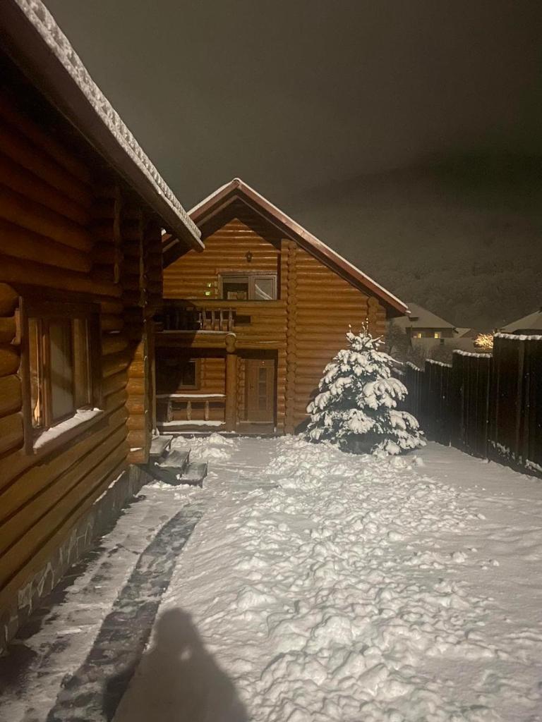 Smerekovyi Dvir photo 2