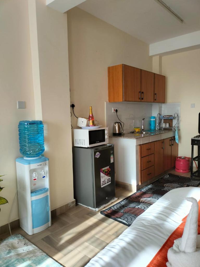 Luxury studio Airbnb in Nakuru CBD photo 2