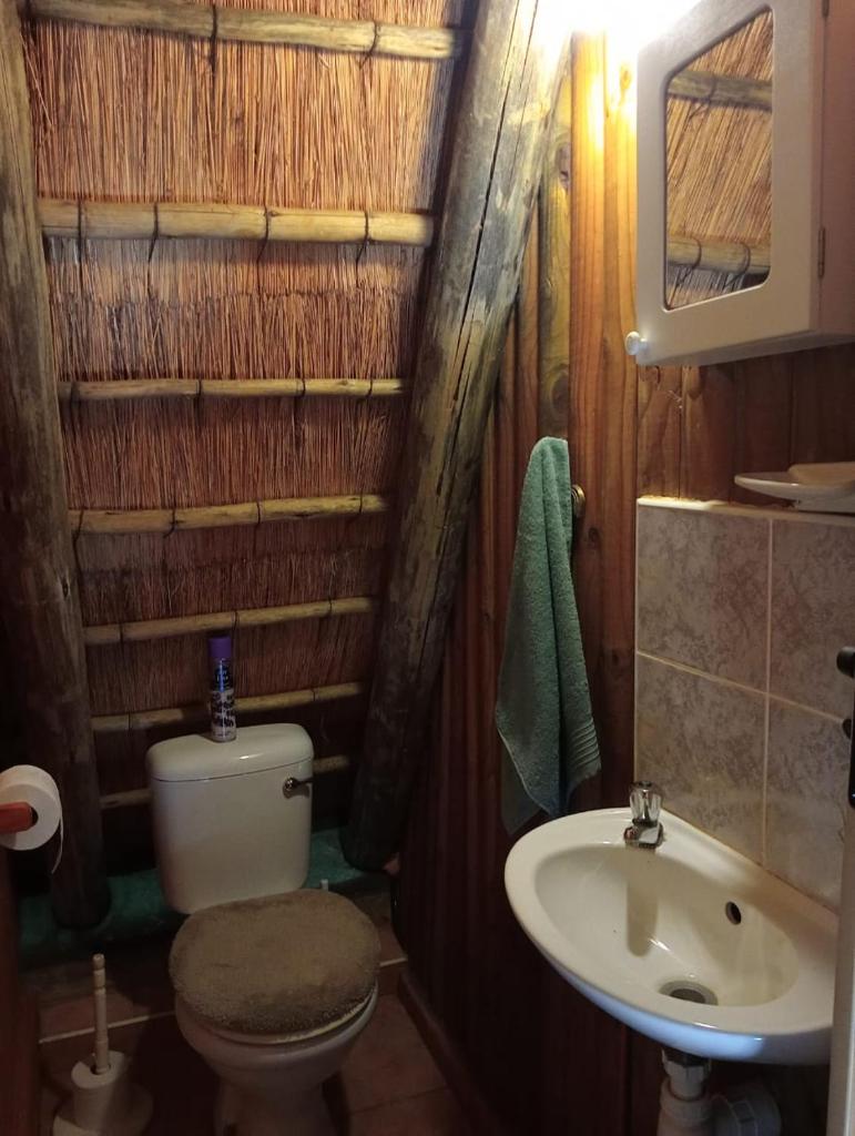 Hedgehog Cabin photo 2