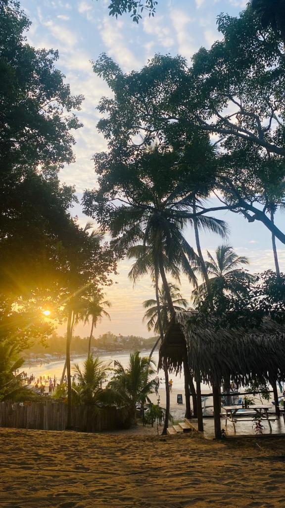 Ocean Vibe Srilanka photo 4