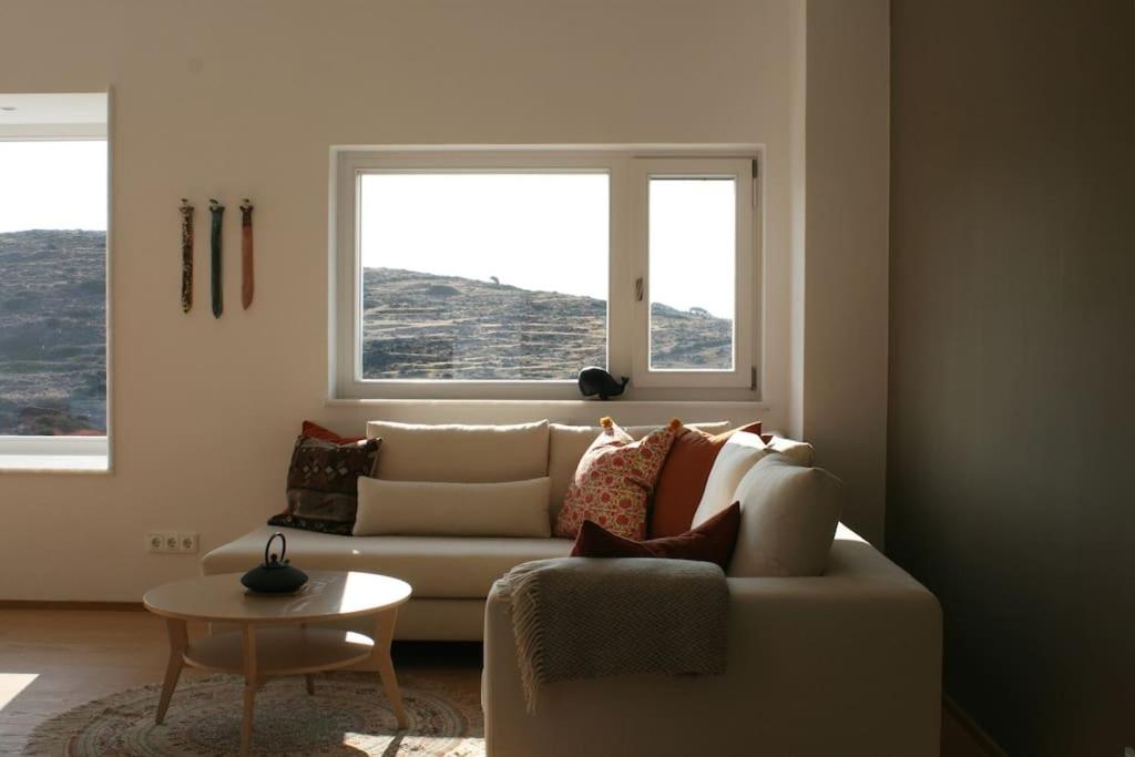 Great house in a beautiful olive grove photo 3
