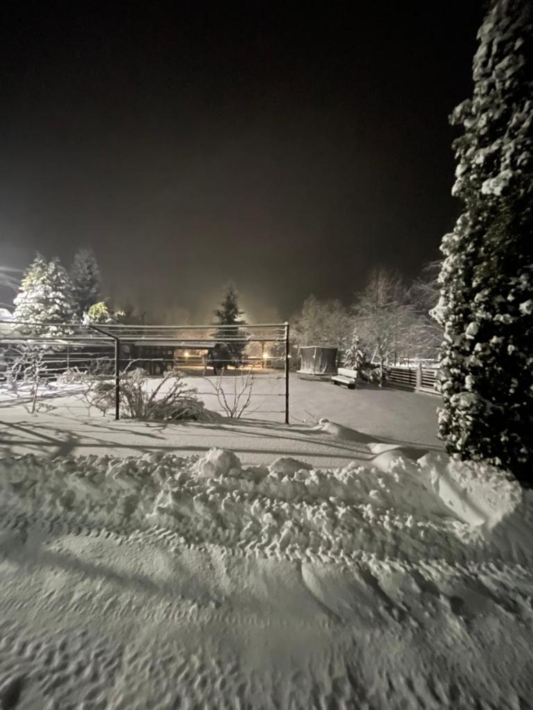 Beregynia photo 4