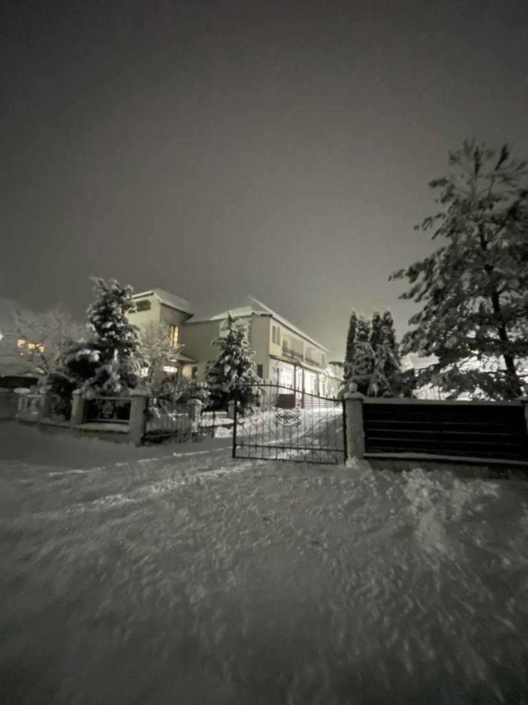 Beregynia photo 3
