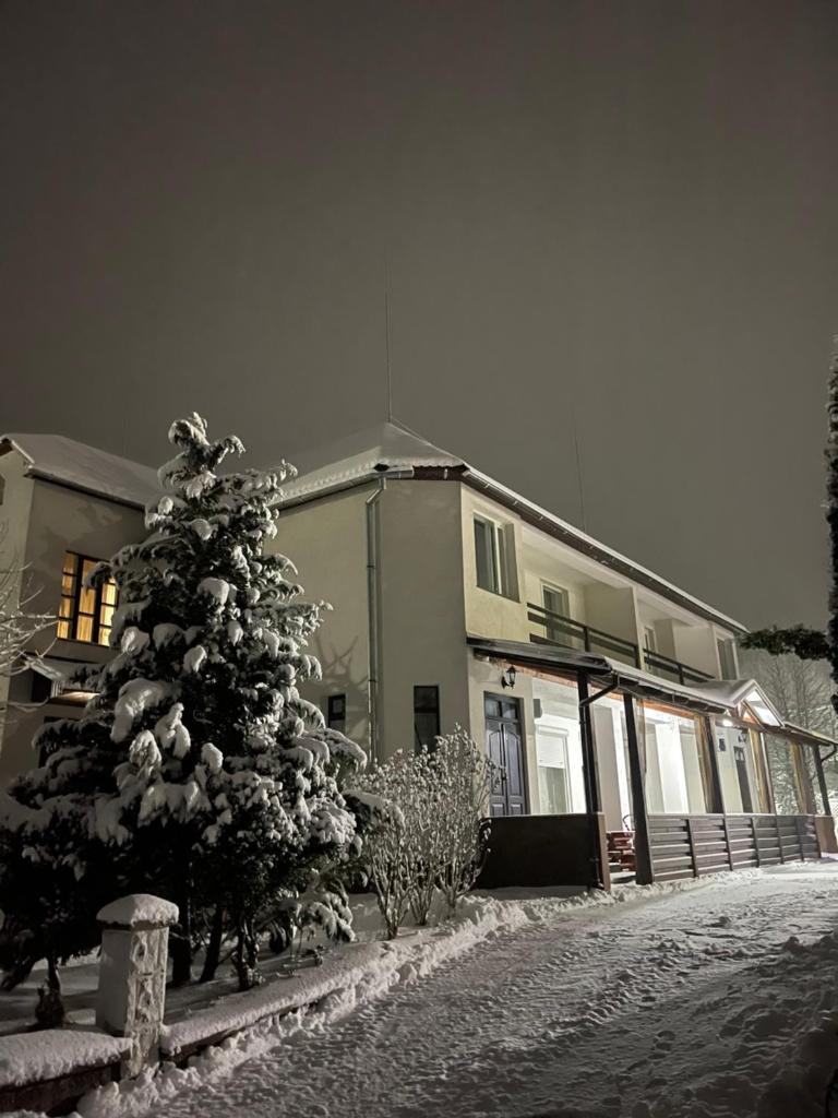 Beregynia photo 1