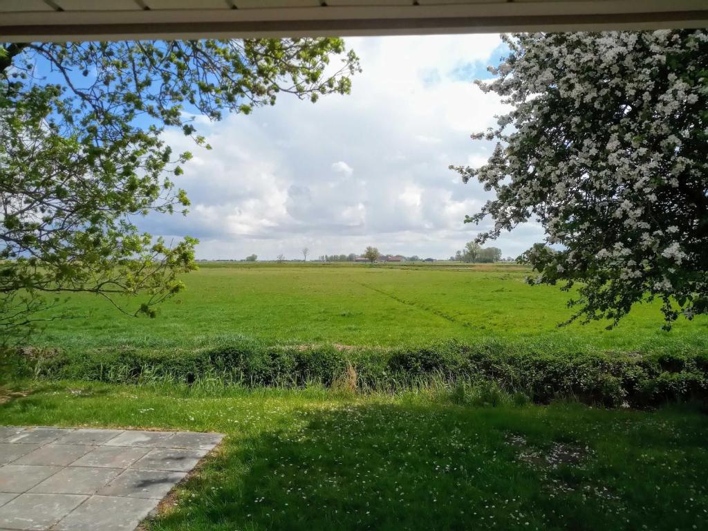 Fischerhaus am Deich 45233 photo 4
