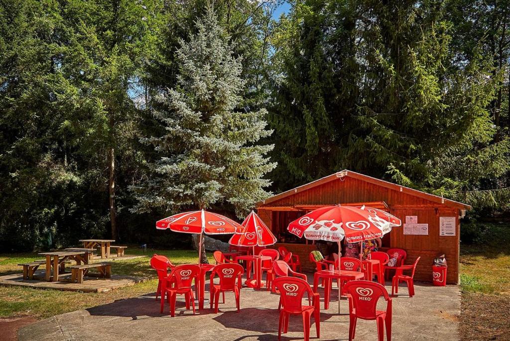 location mobil-home photo 2