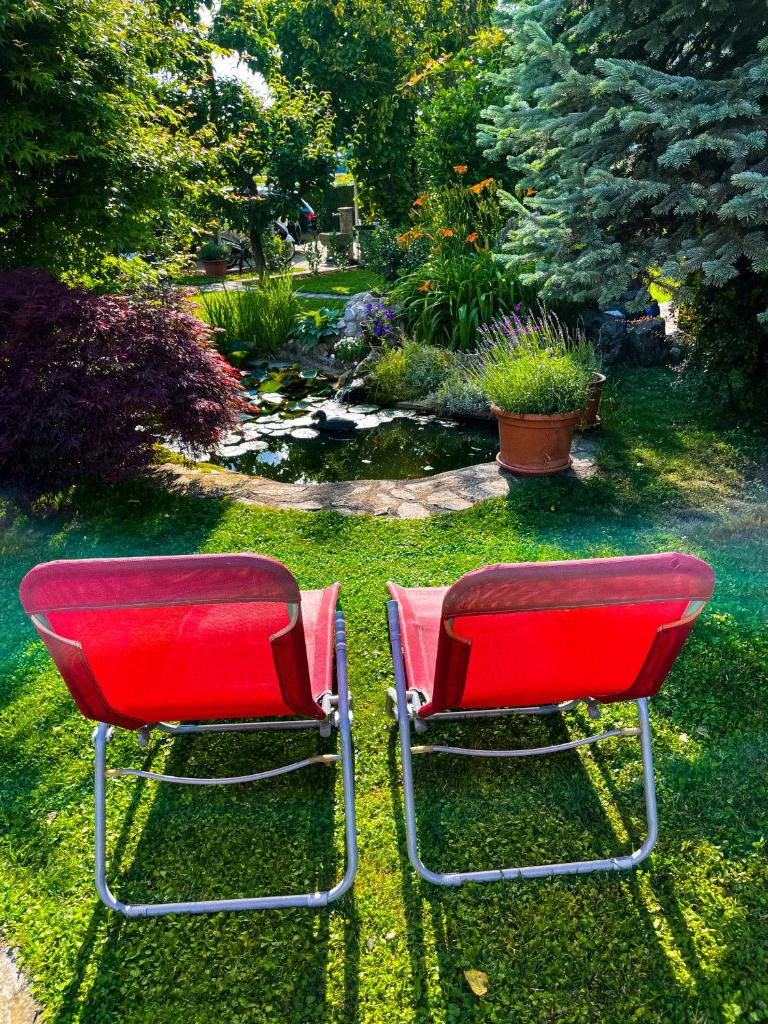 Green Oasis Garden photo 3