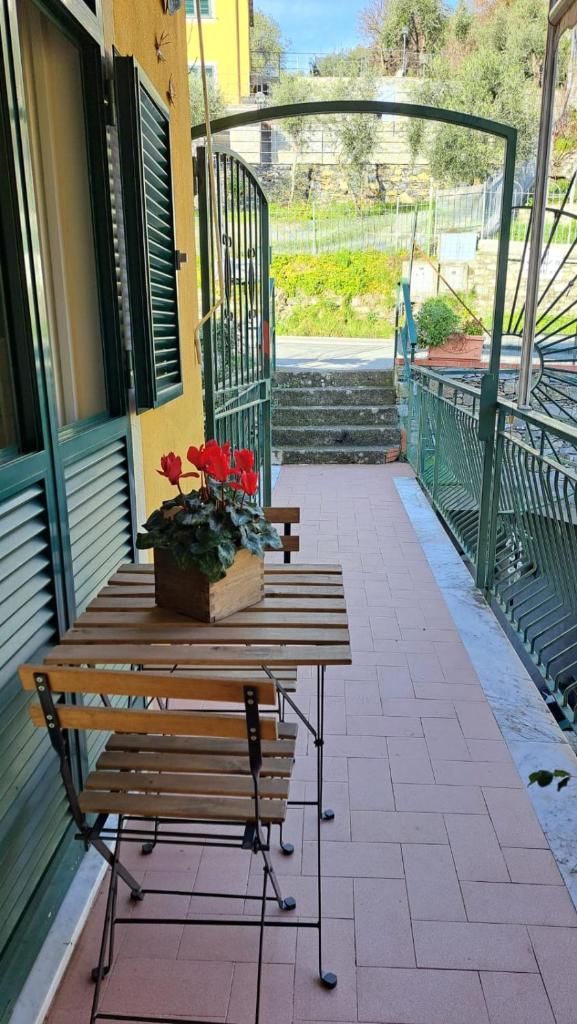 AAUT IL NOCE LEIVI codice CITRA 010029-LT-0025 photo 3