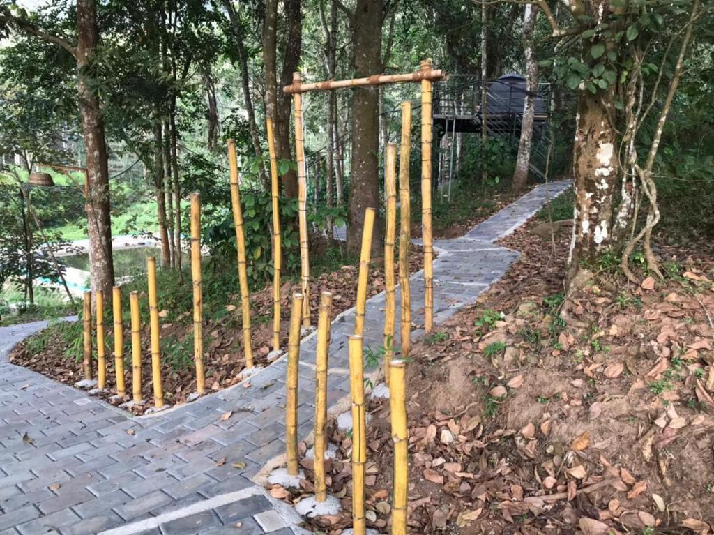 Edakkal Camp And Tent photo 2