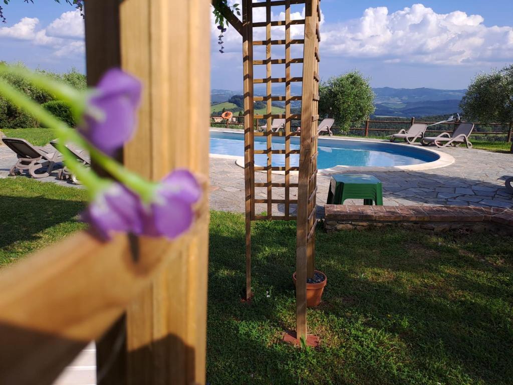 Podere Oliveta photo 2