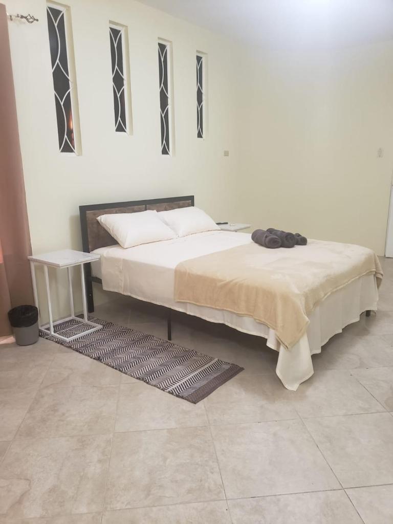 Noud Villa photo 4