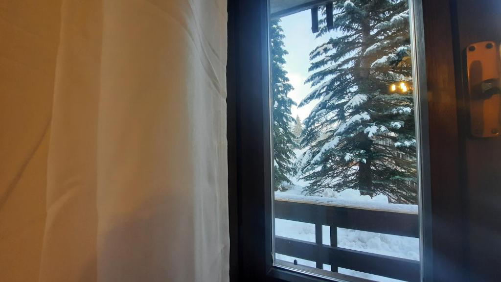 Ski House Marmotta photo 4