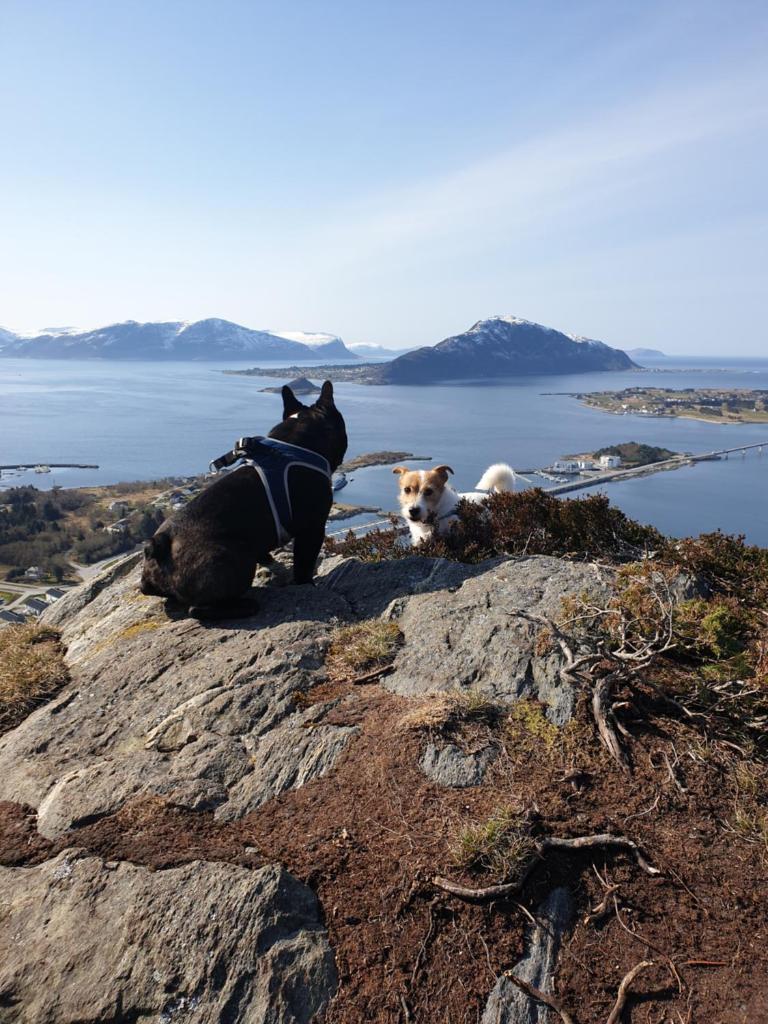 Leilighet nær flyplass og Ålesund sentrum photo 4