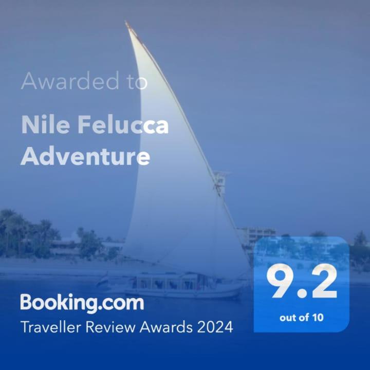 Nile Felucca Adventure photo 2