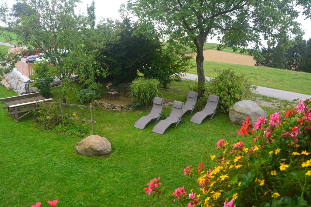 Bio-Bauernhof Haunschmid photo 3