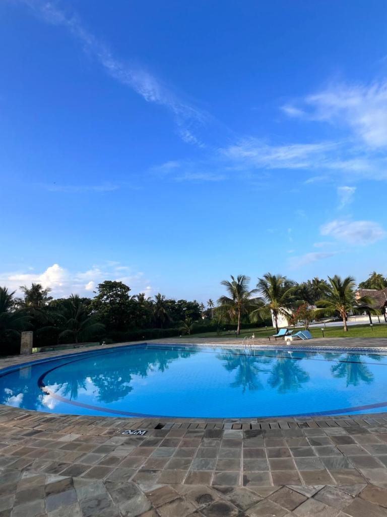 Sunny Studio Beachfront Apartment photo 2