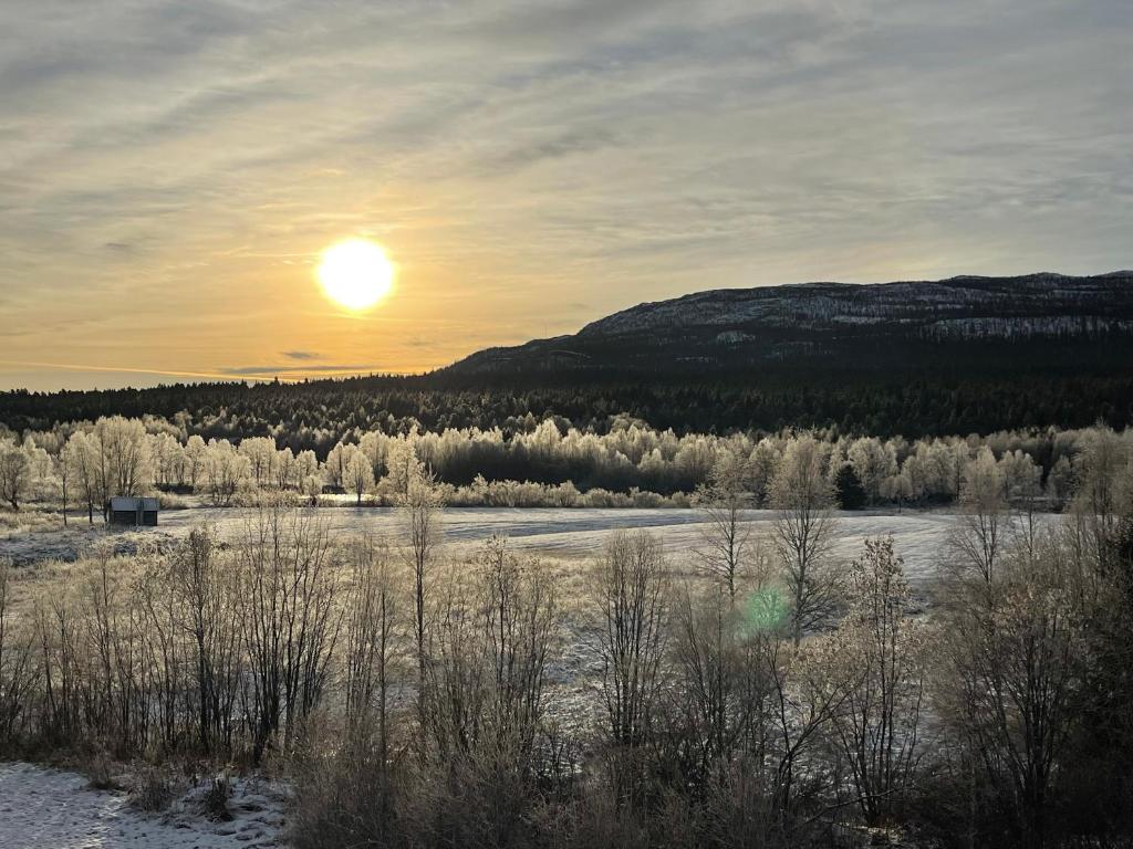 Vandrarhemsboende på Ammarnäsgården photo 3