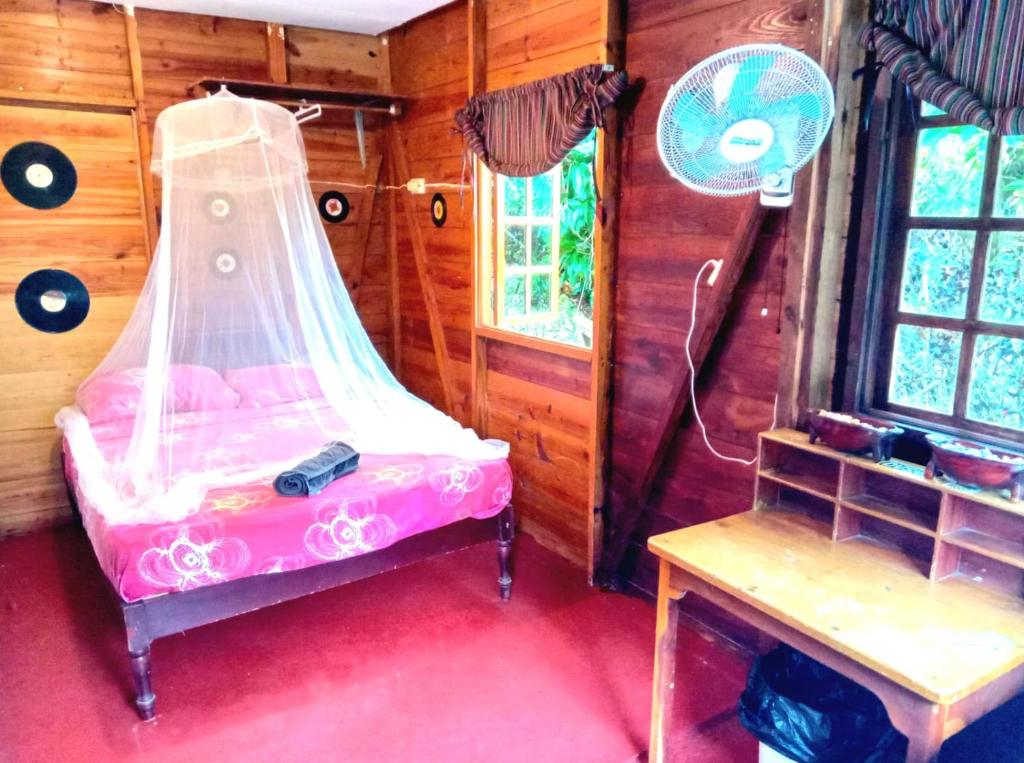 La Familia Guest House and Natural Farm photo 4