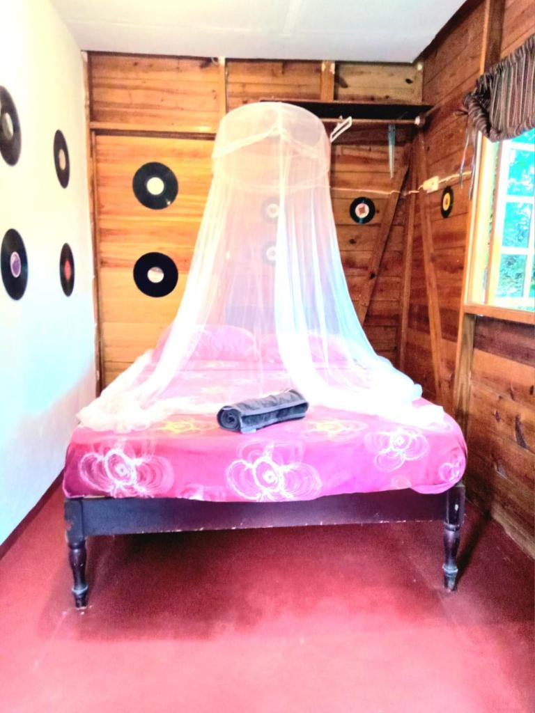 La Familia Guest House and Natural Farm photo 3