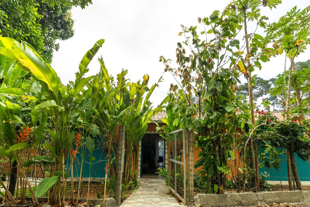 Casa Papaya photo 1
