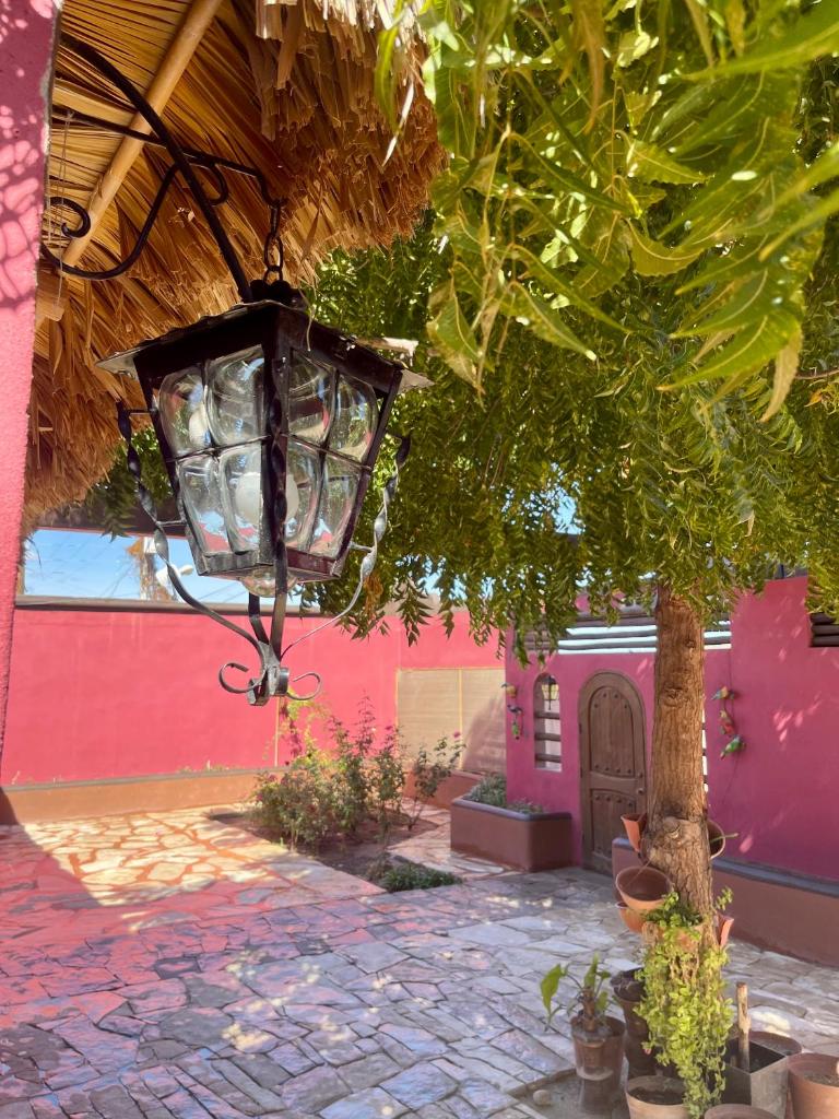 Casa El Pescador photo 3