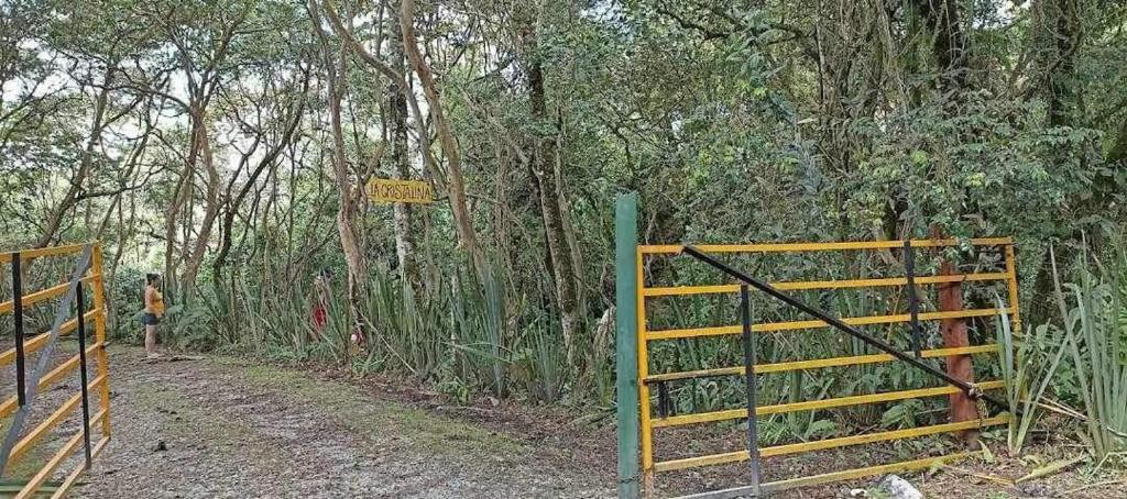 Cabaña El Pino, Finca la cristalina photo 2
