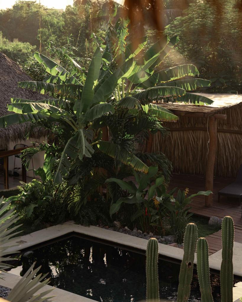 Casa Mexibali, Entire House photo 2