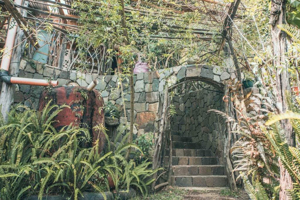 Earthship amazing Cabins with lake view
