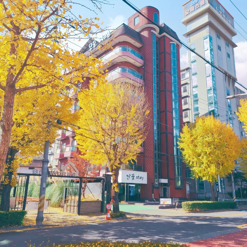 Danggum Stay photo 4