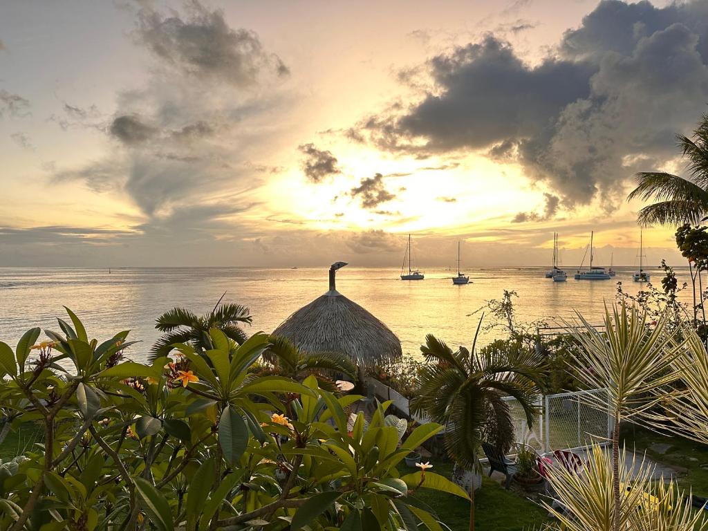 Meri Lodge Huahine « ROOM OF MARTA » photo 4