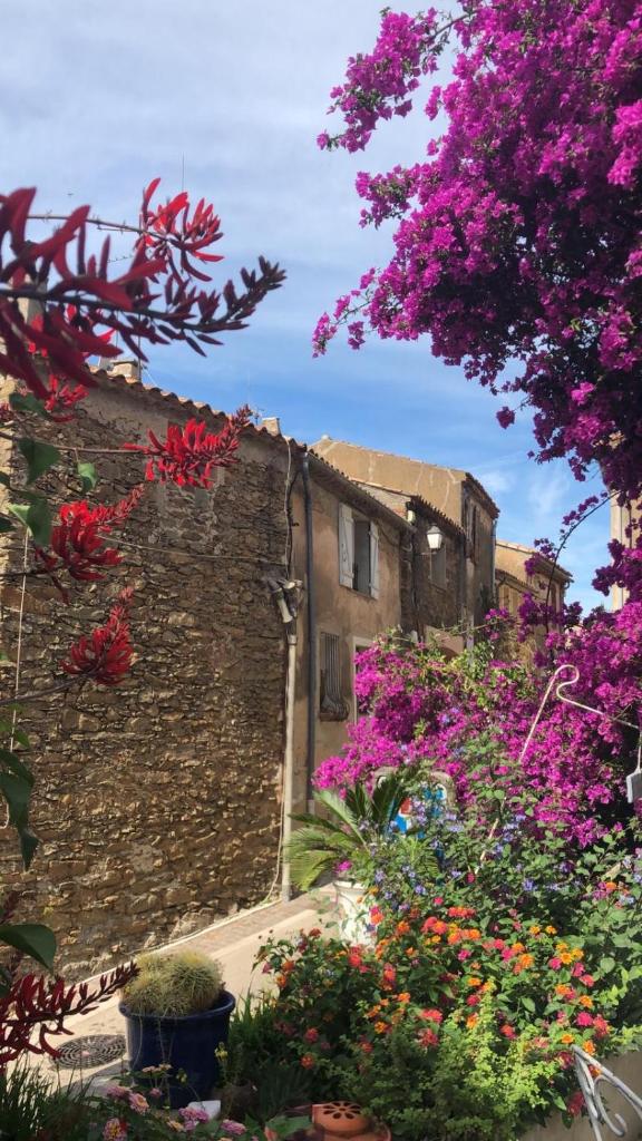 maison de vacances Médiévale Bormes-les-Mimosas village photo 1