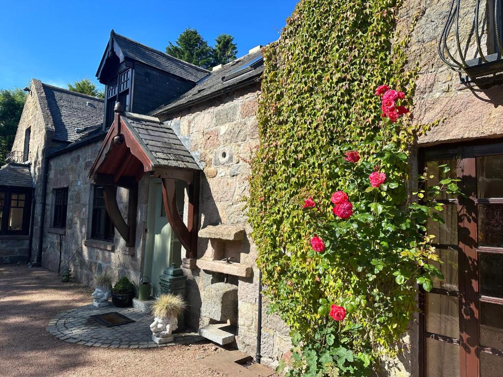 Awakening Alchemy Retreat Centre photo 3