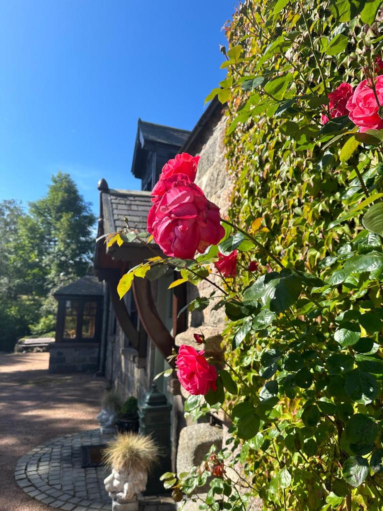 Awakening Alchemy Retreat Centre photo 4