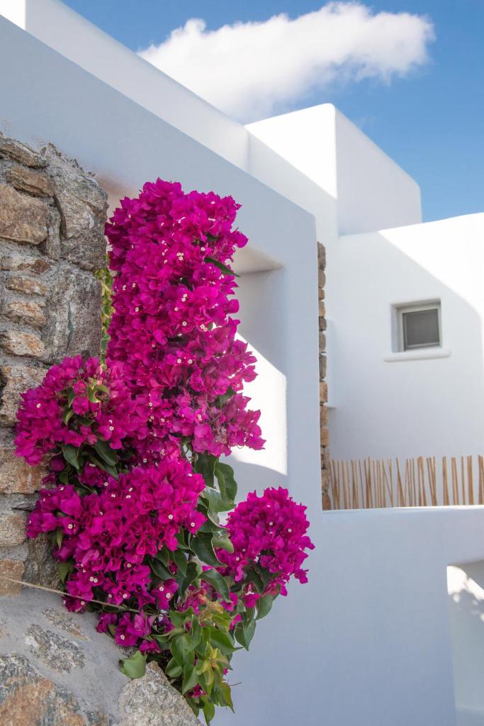 The Summit of Mykonos photo 1