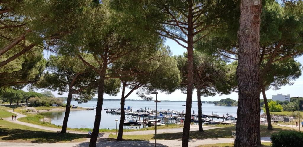 Le Ponant - Cozy and elegant with air conditioning! photo 1