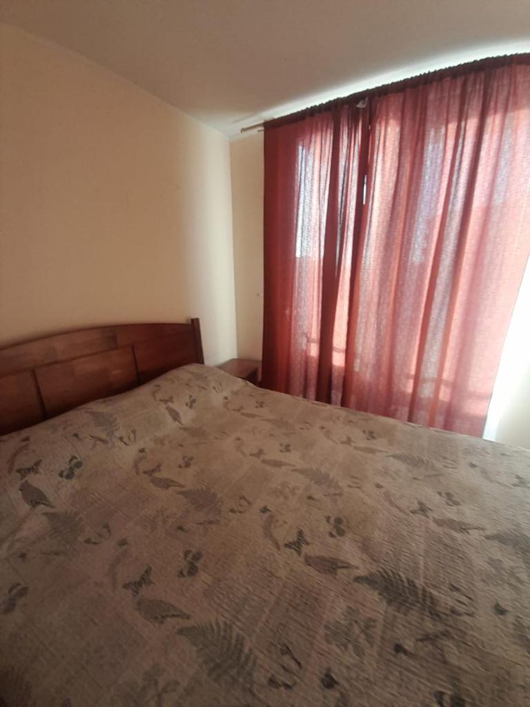 Departamento Huasco, Atacama photo 3