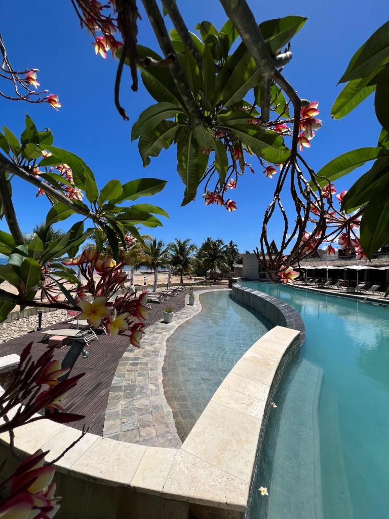Palm Beach Resort & Spa photo 1