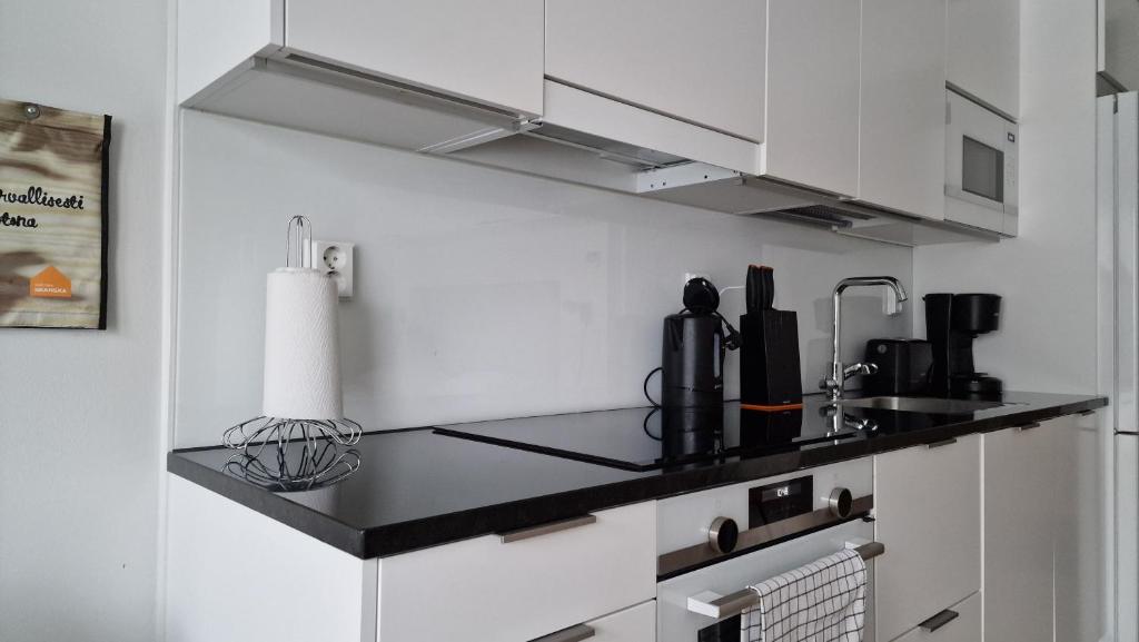 Cozy Apartment near Aura river photo 3