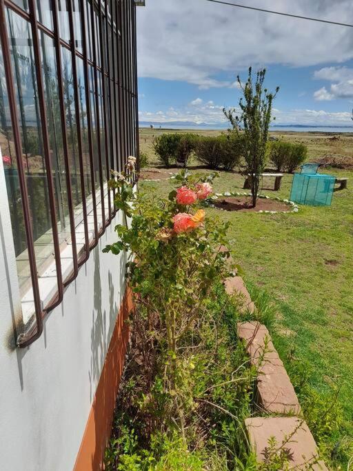 Casa Ymelda photo 4
