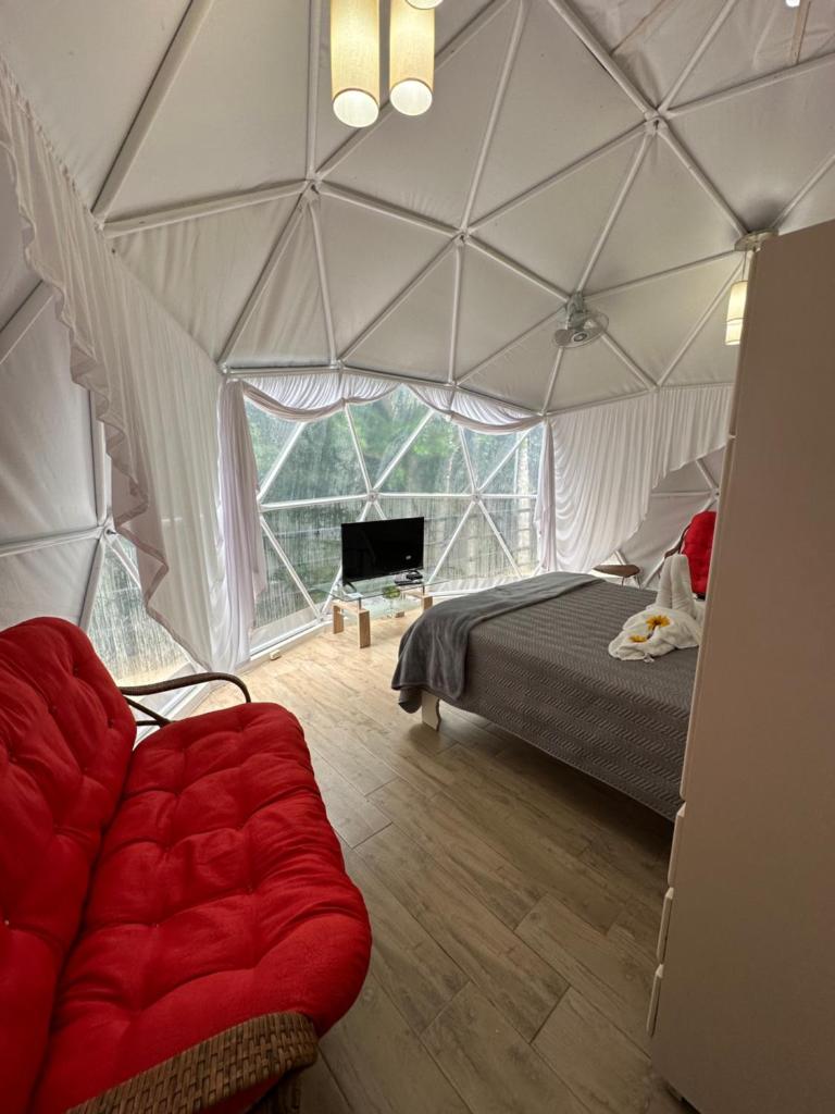 Glamping Hope Garden photo 3