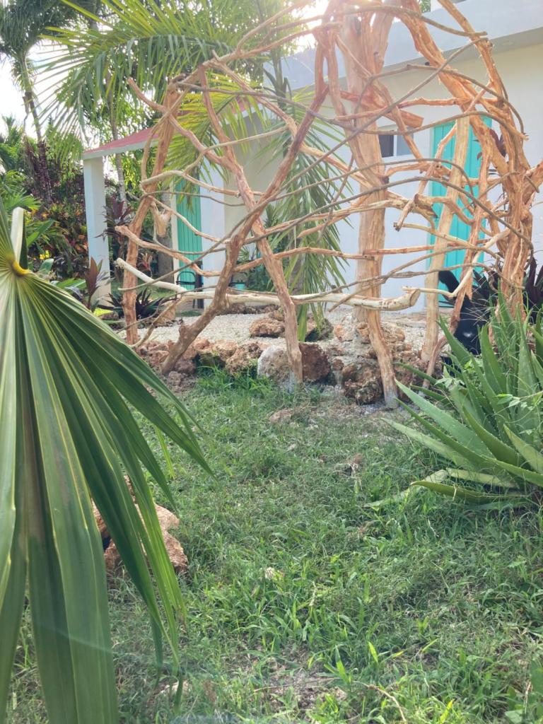 GREEN PARADISE LEONA VICARIO photo 2