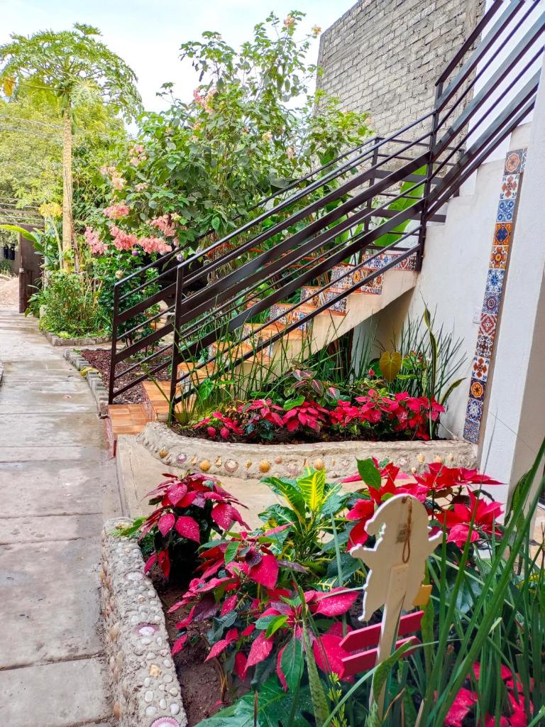 Casa Amelia photo 1